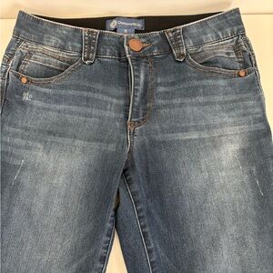 Democracy Women's Classic Blue Skinny Jeans